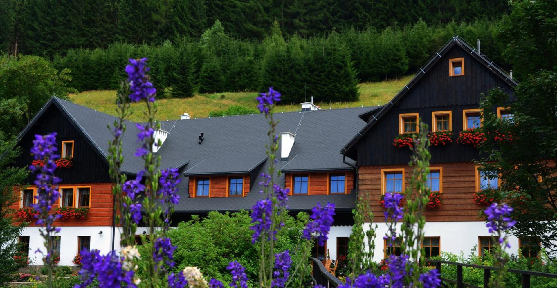 Cyborga Bed & Breakfast *