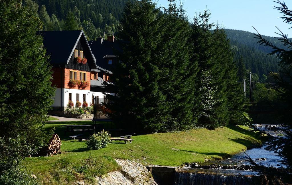 Cyborga Bed & Breakfast Stronie Śląskie