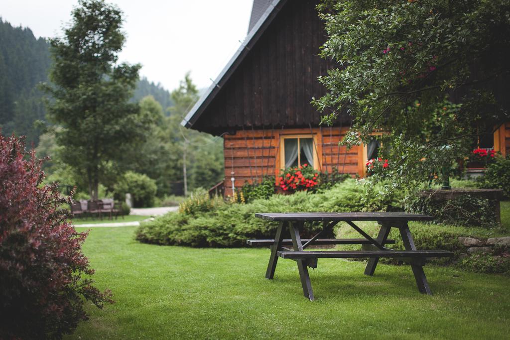 Bed & Breakfast Cyborga Stronie Śląskie
